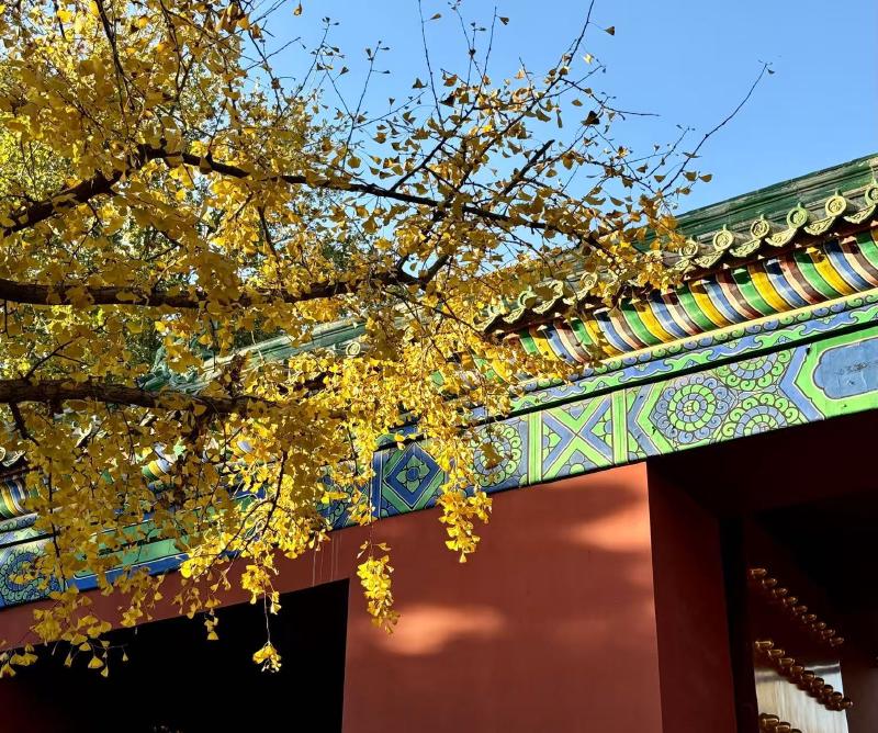 Featured image of post 一个有趣的梦 | 三国阴阳师