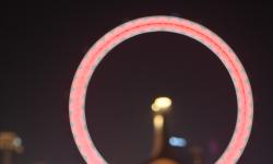 Featured image of post 寒露 | 这茶桌樟木的横切面，年轮有二十三圈