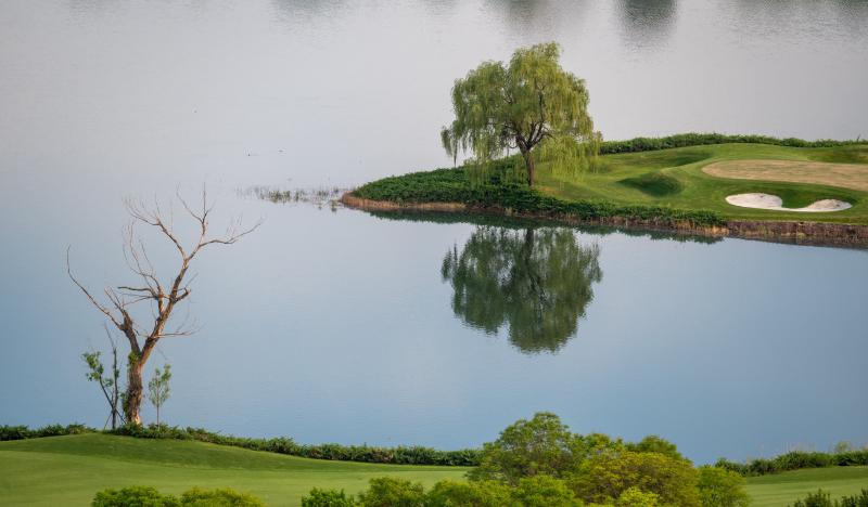 Featured image of post 芒种 | 时间像是仓鼠轮子越跑越快