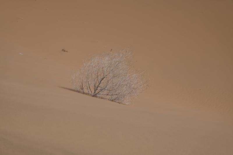 Featured image of post 清明 | 在雨纷纷的节气中见到「大漠孤烟直，长河落日圆」
