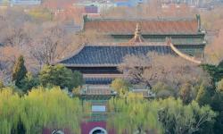 Featured image of post 春分 | 拍堤春水四垂天，红墙白塔，小花杨柳