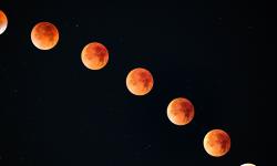 Featured image of post 白露 | 露从今夜白，月是故乡明