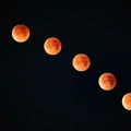 白露 | 露从今夜白，月是故乡明