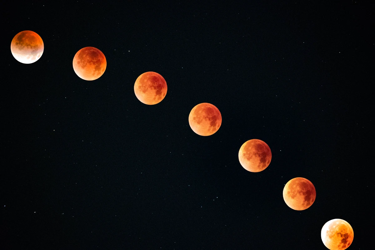 Featured image of post 白露 | 露从今夜白，月是故乡明